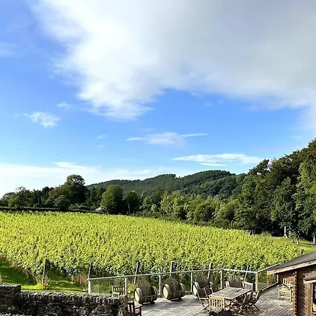 Vineyard Country Cottage Llanerch-Aeron Exterior photo