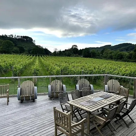 Vineyard Country Cottage Llanerch-Aeron Exterior photo