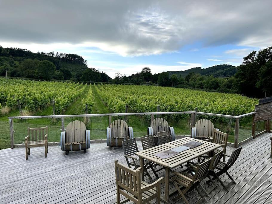 Vineyard Country *